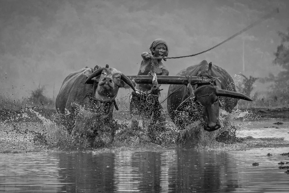 Photograph by Lugyanti Sukrisman