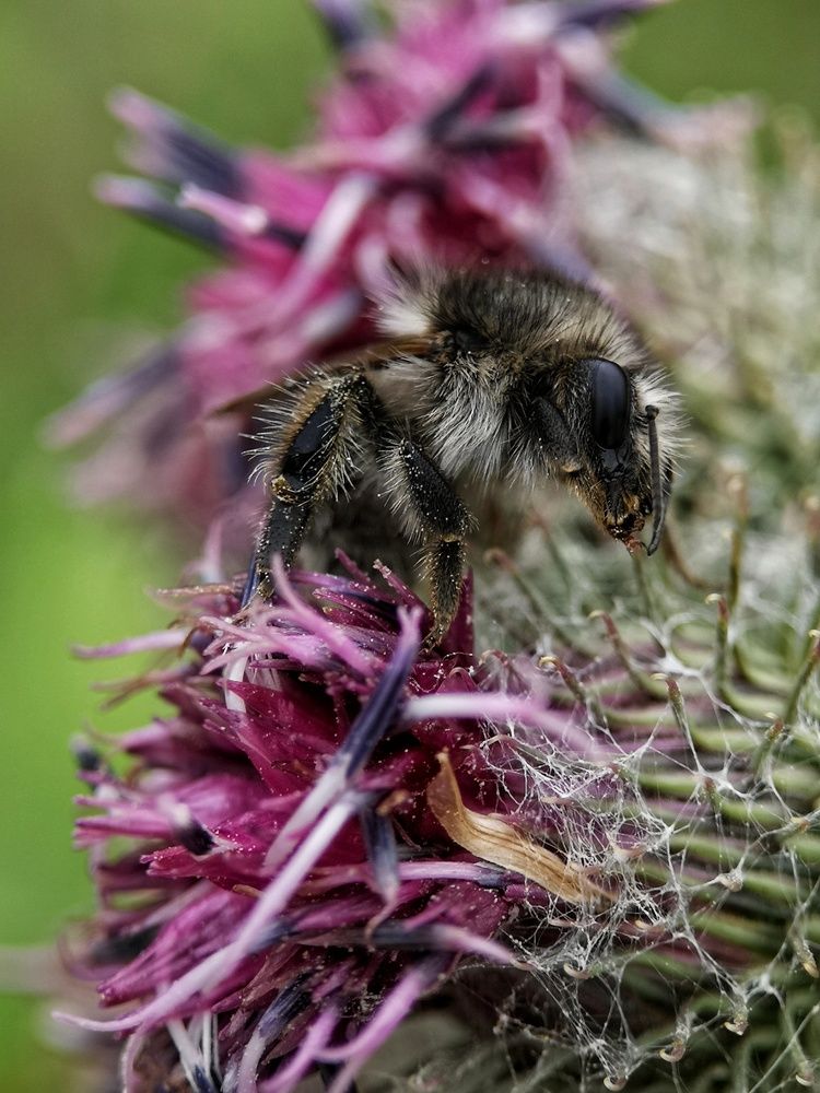 Photograph by Natali