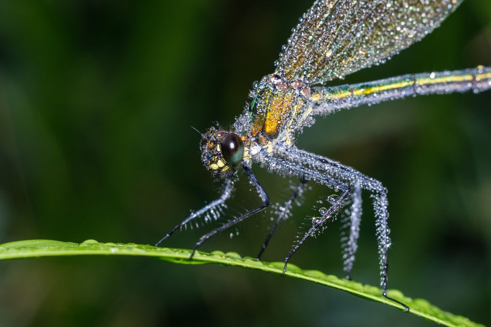 Photograph by Владимир Машко