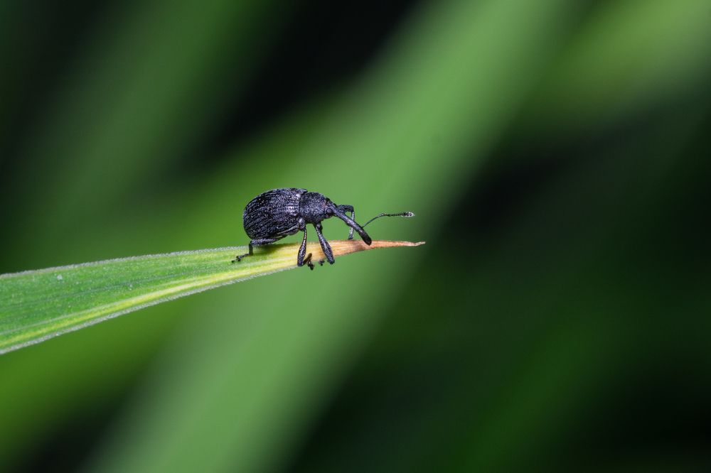 Photograph by Владимир Машко