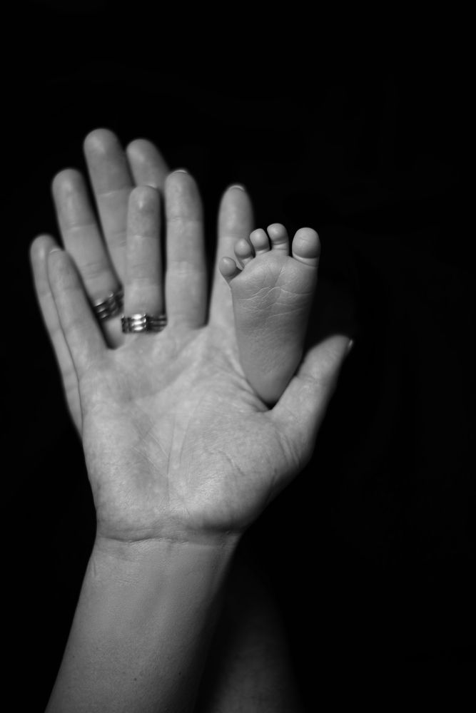 Photograph by Алина Петрашина