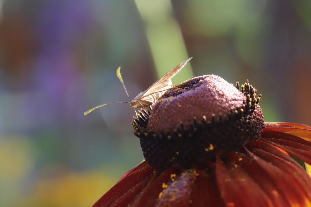 Photograph by Валерий Машук