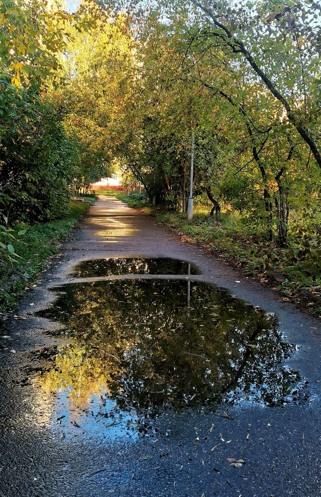 Photograph by Ирина Аверьянова