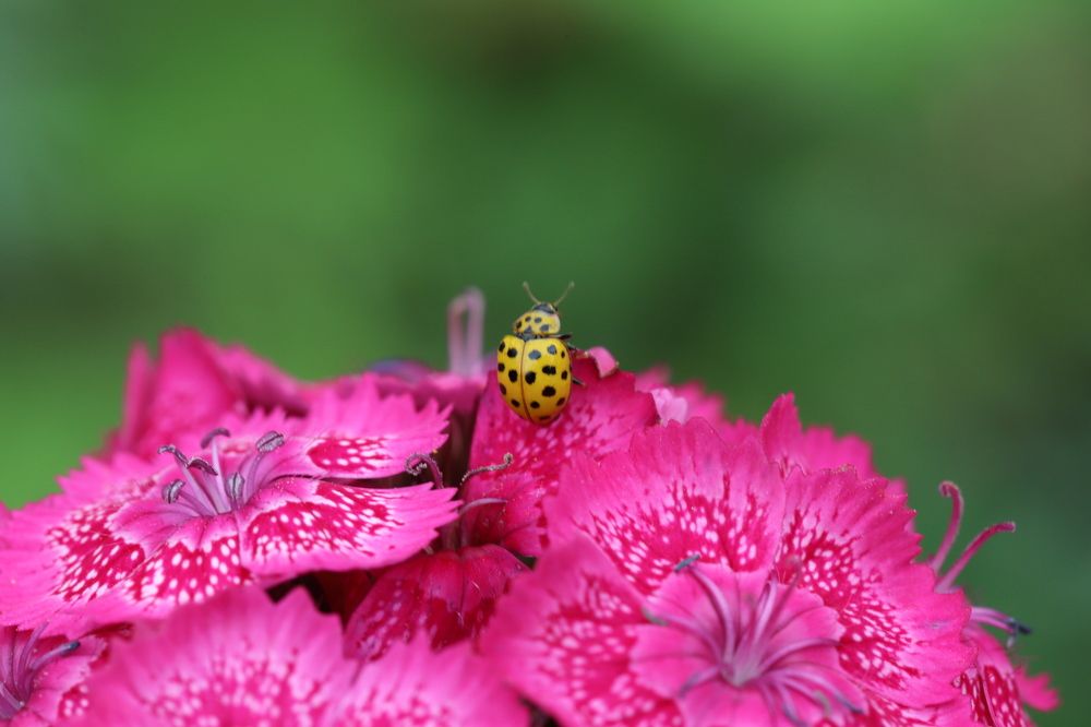 Photograph by Валерий Машук