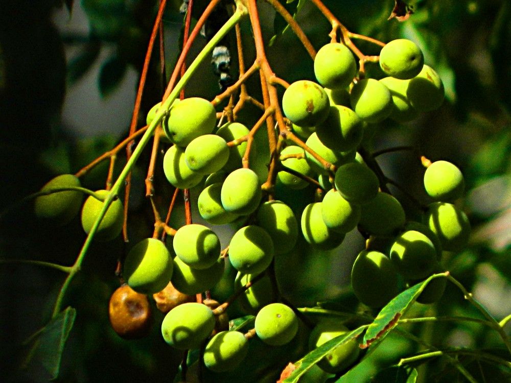 Photograph by Сергей Рапопорт