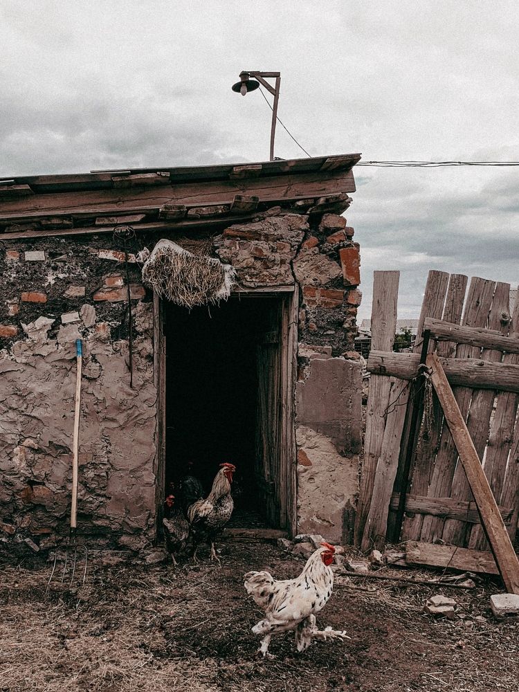 Photograph by Влад Gurgenagangrena