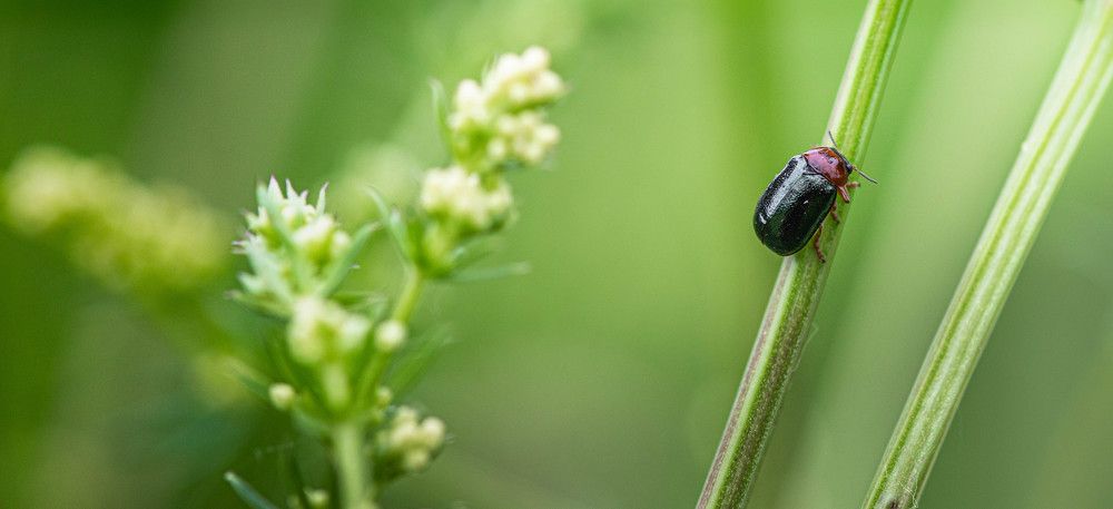 Photograph by Евгений Перемышлев