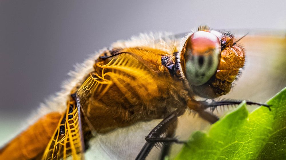 Photograph by Евгений Перемышлев