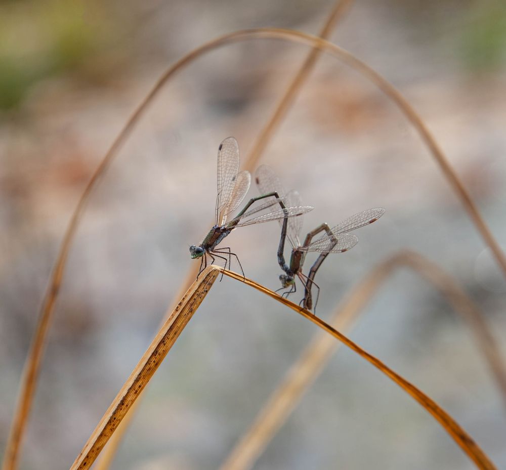 Photograph by Кирилл Митрошкин