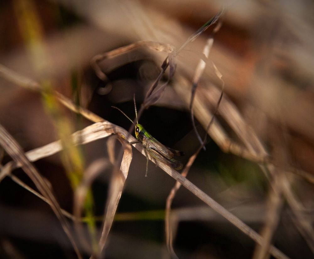 Photograph by Кирилл Митрошкин