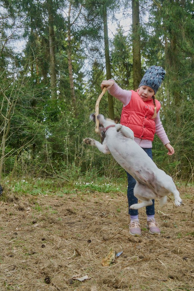 Фотография автора Евгений Вагуро