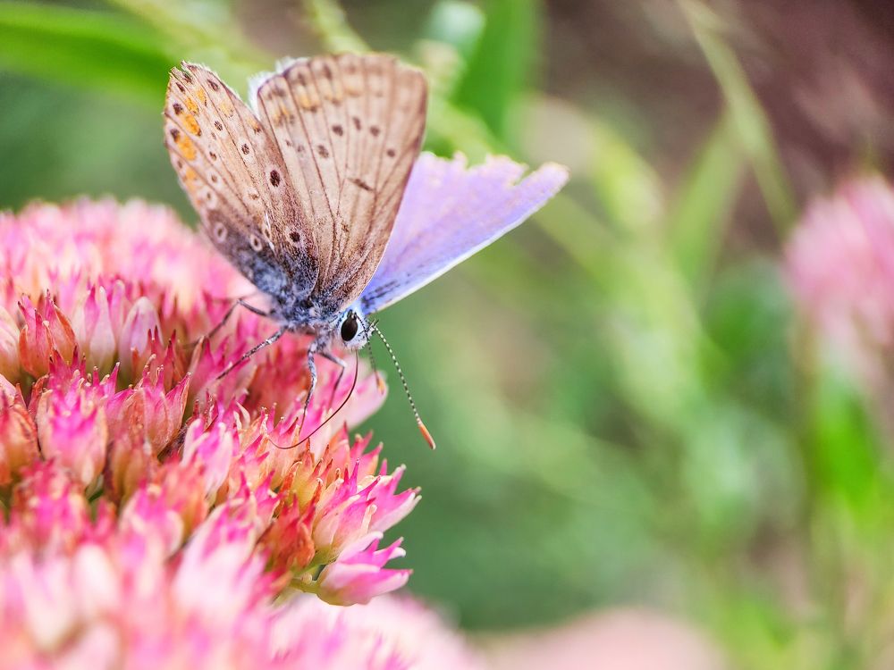 Photograph by Дина Горбачёва