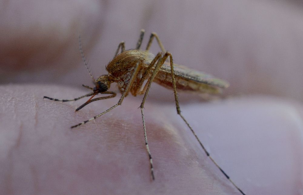 Photograph by Юлия Лушникова