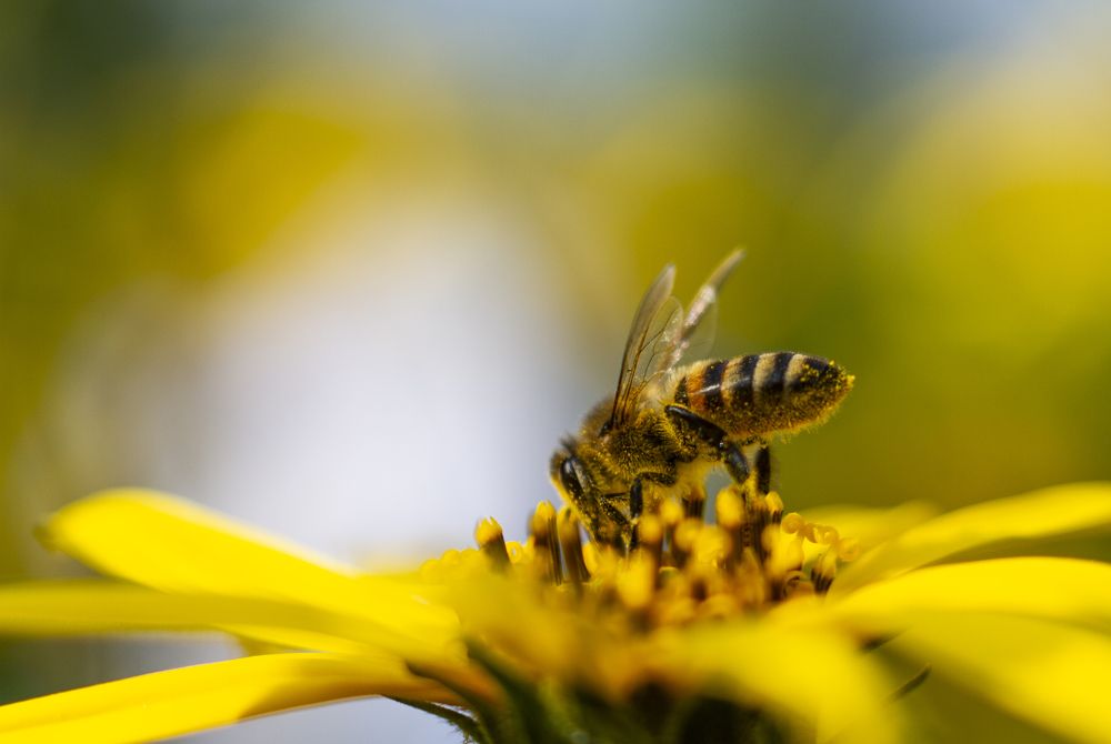 Photograph by Anton Gaev