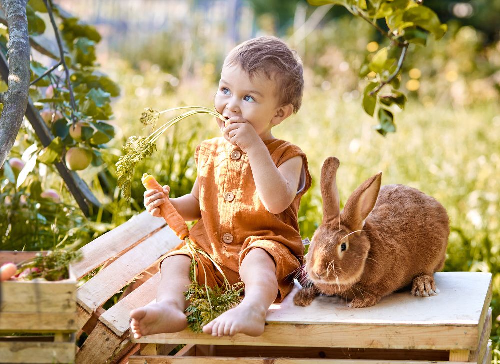 Фотография автора Надежда Бойкова