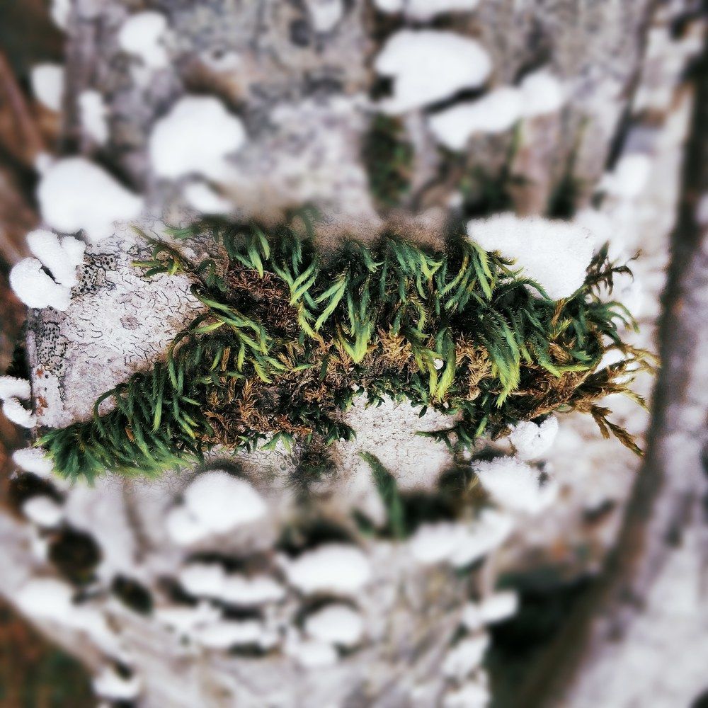 Photograph by Николай Ковальчук