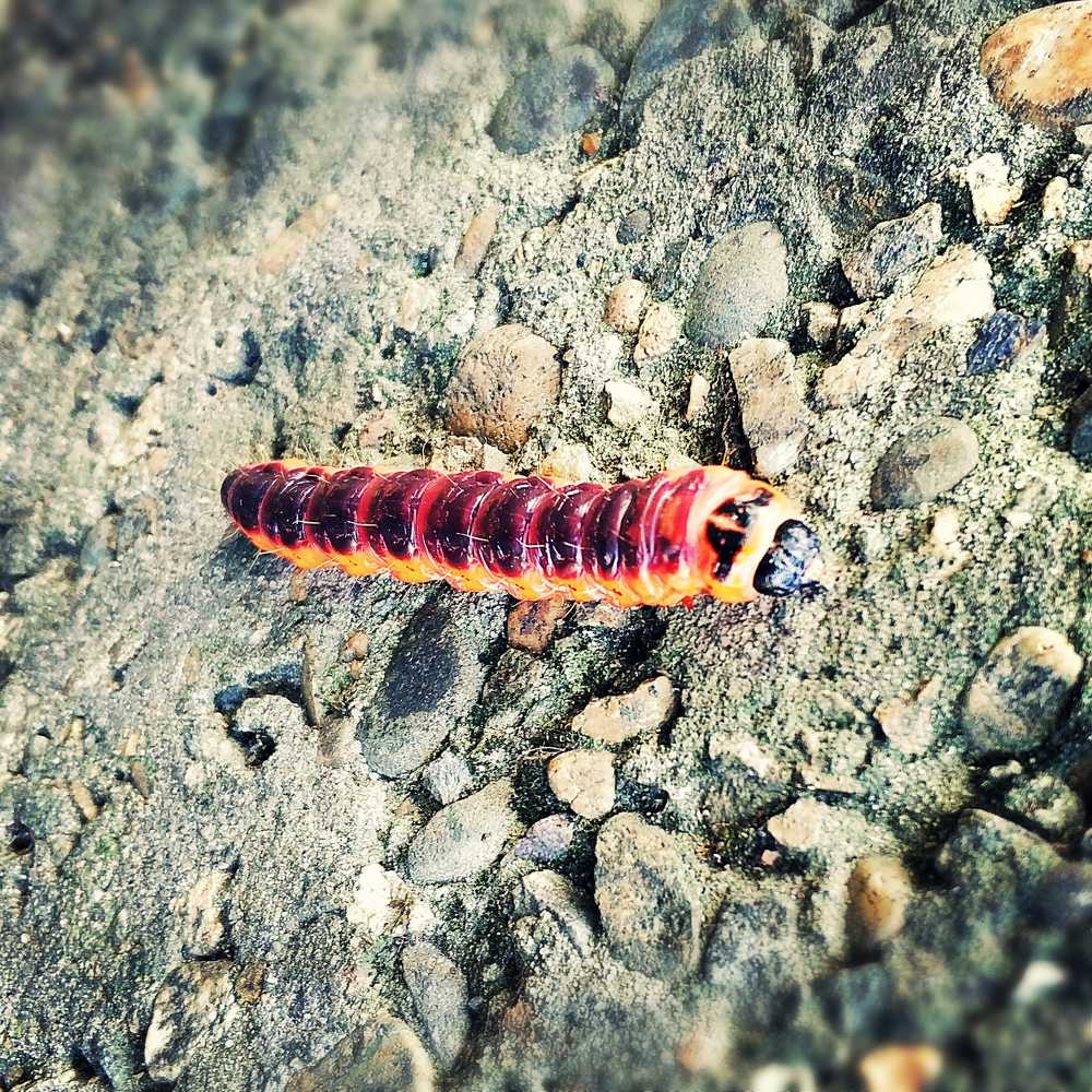 Photograph by Николай Ковальчук