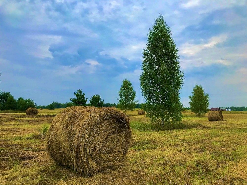 Photograph by Михаил Некрасов