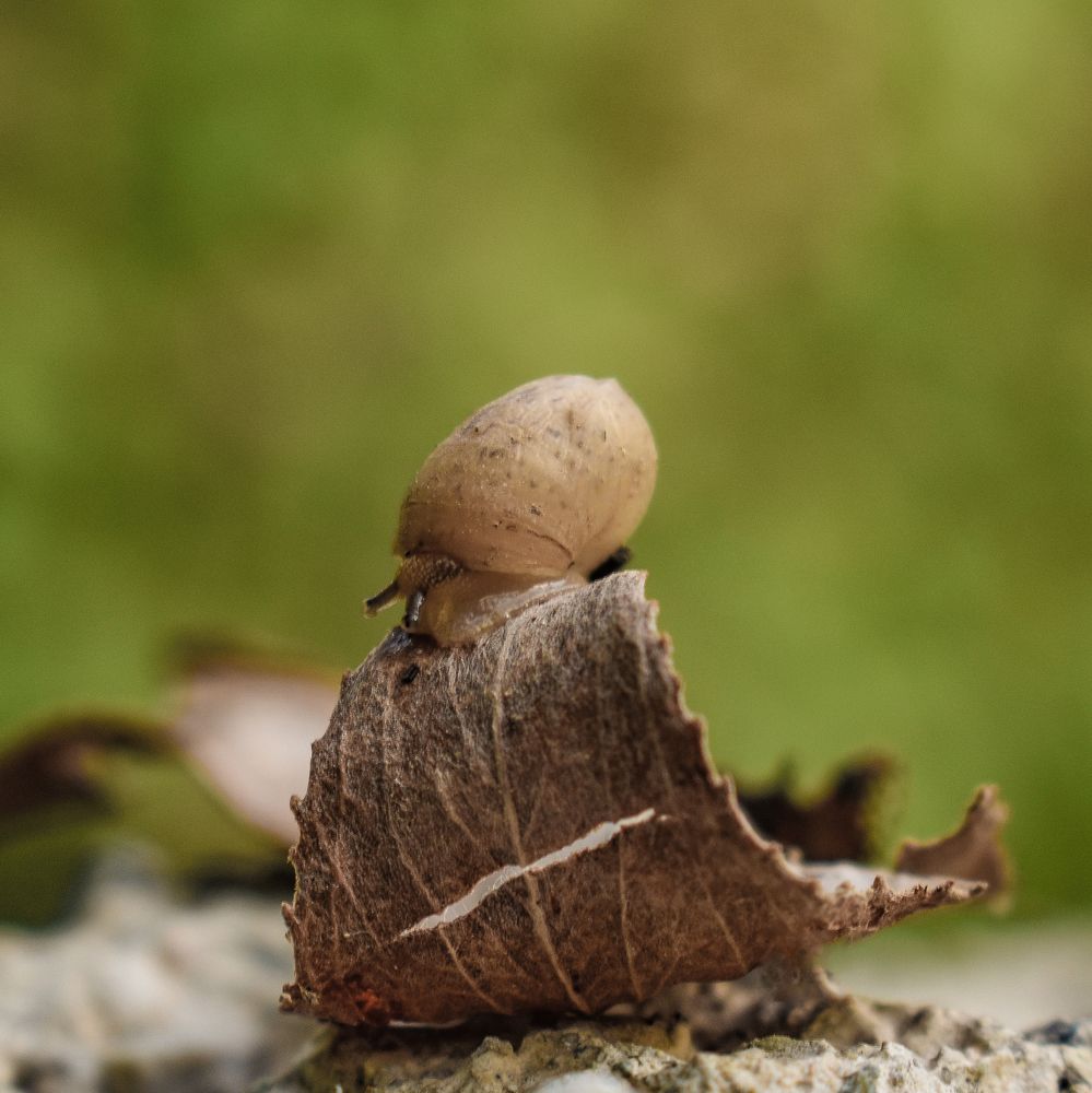 Photograph by Fatemeh Jamalian