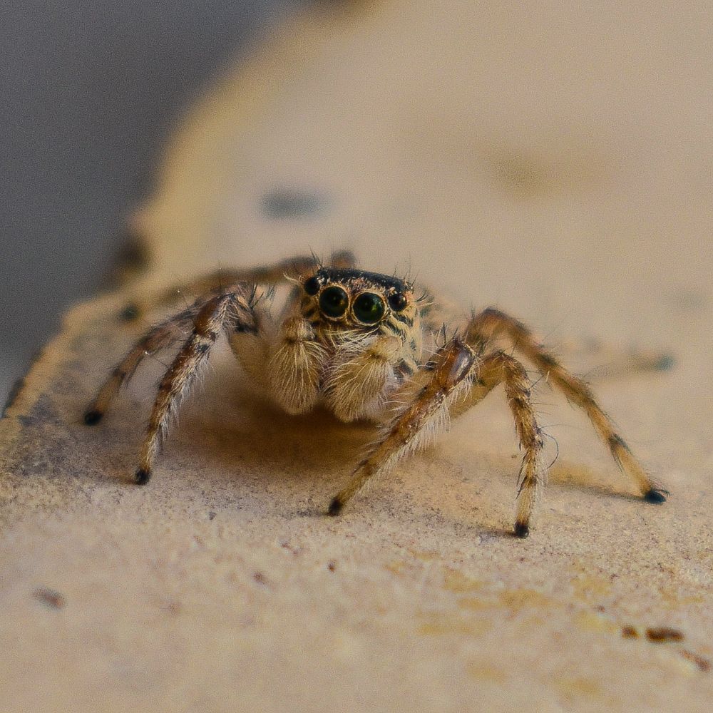 Photograph by Fatemeh Jamalian