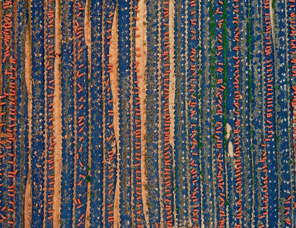 Photograph by Poung Young Kwak