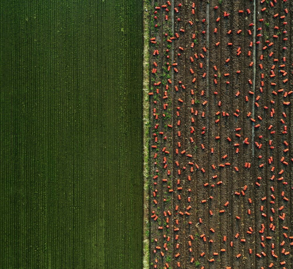 Photograph by Poung Young Kwak