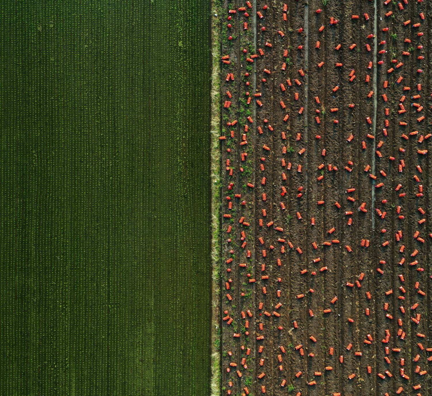 Фотография #6493935