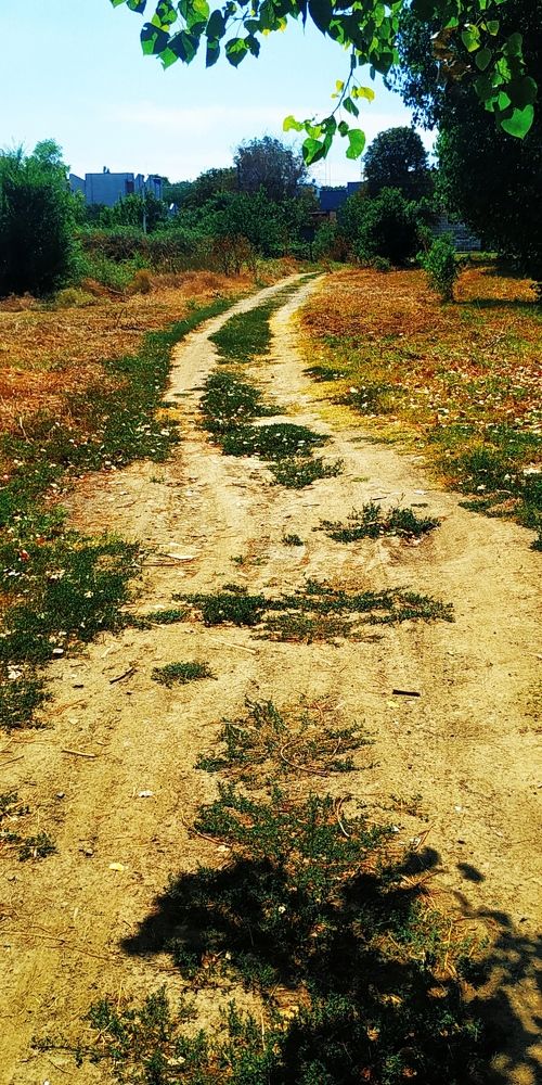 Photograph by Сергей Зиньковский