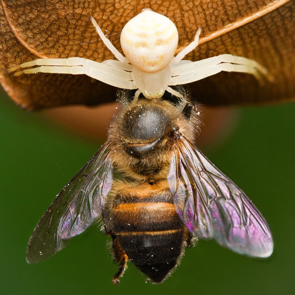 Photograph by Jerry Tsang