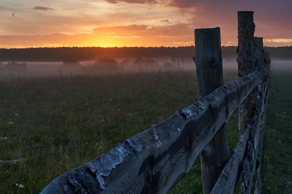Photograph by Андрей Колеватов