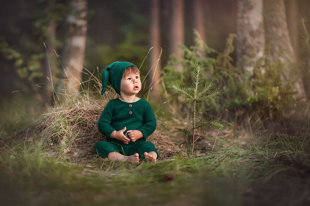 Лесной гномик