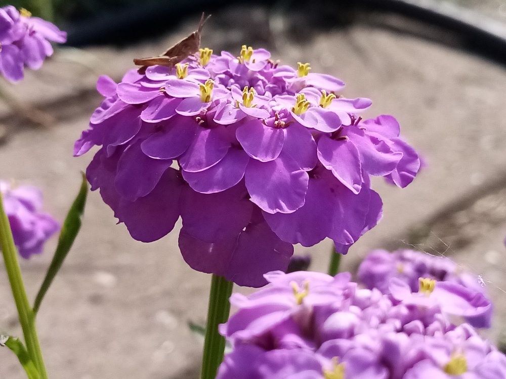 Photograph by Венера Галимова