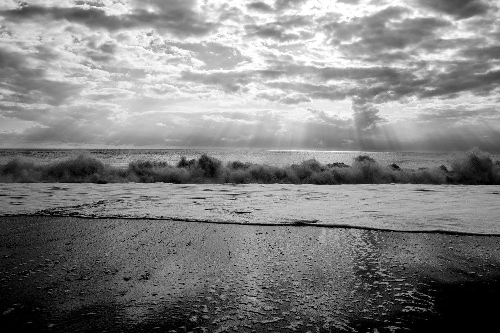 Photograph by Tasha Tiger