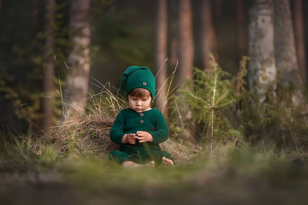 Гномик в лесу