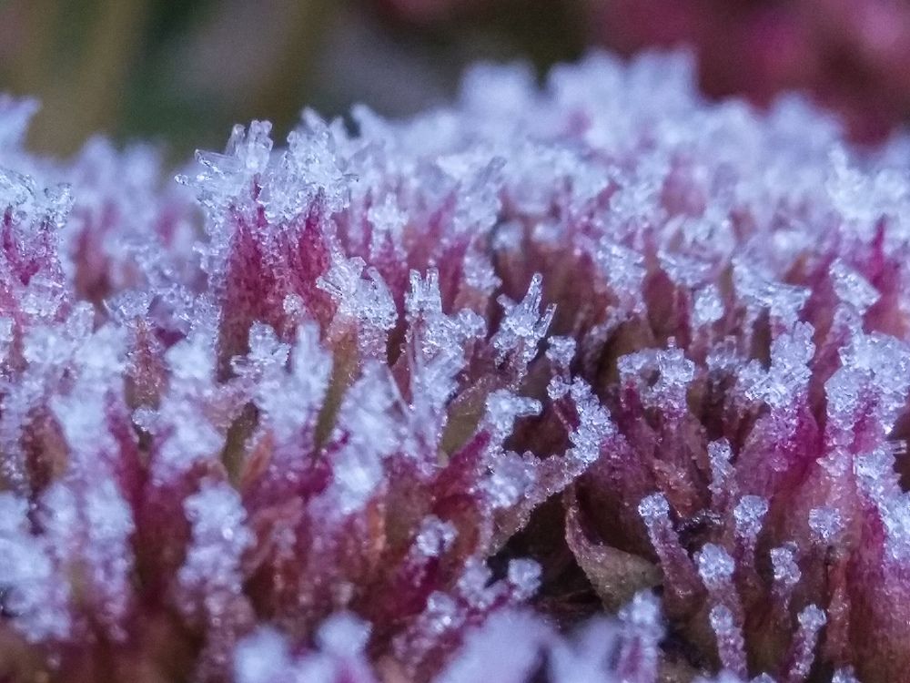 Photograph by Денис Лащ