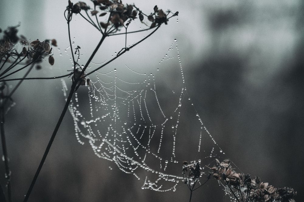 Photograph by Юлия Лушникова