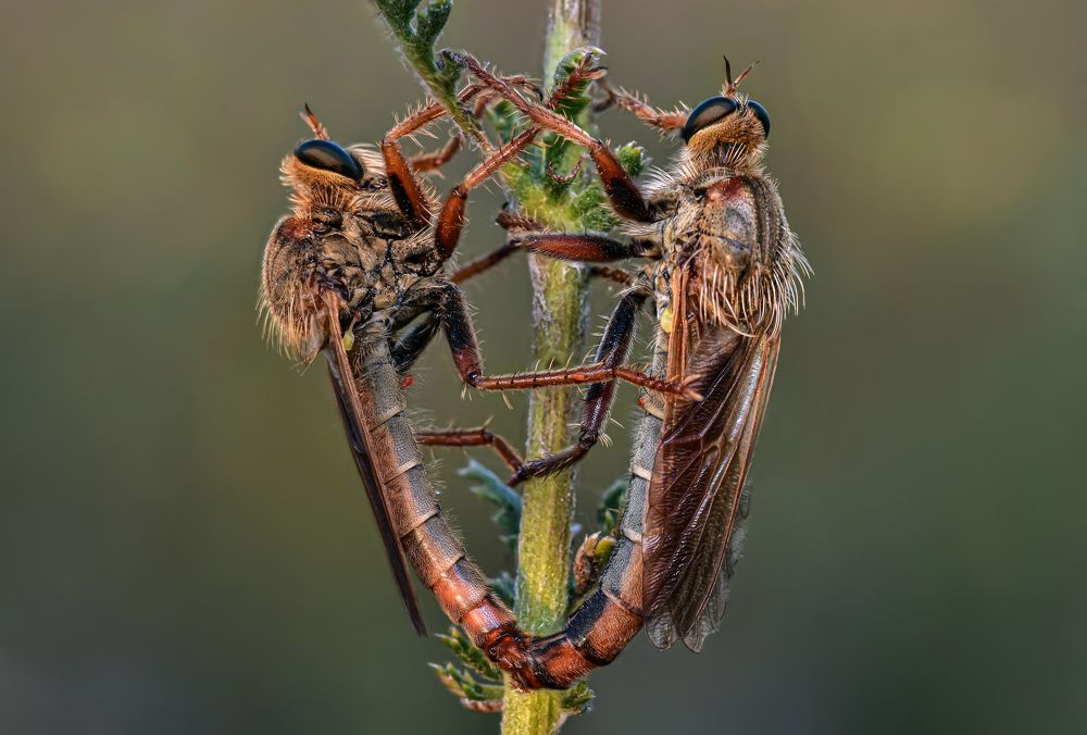 Photograph by Андрей Зимин