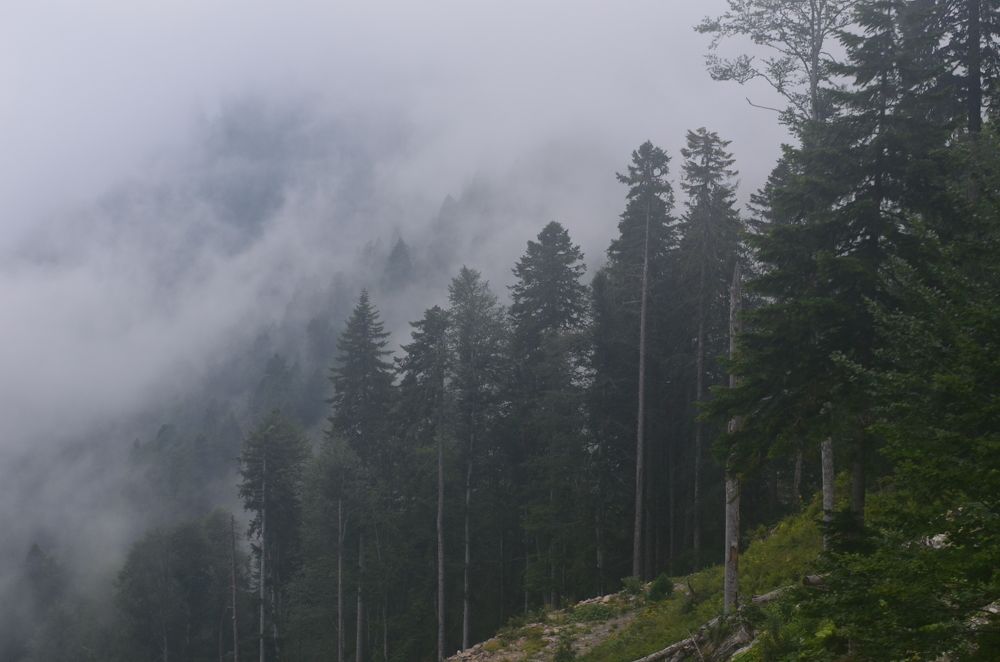 Photograph by Андрей Постников