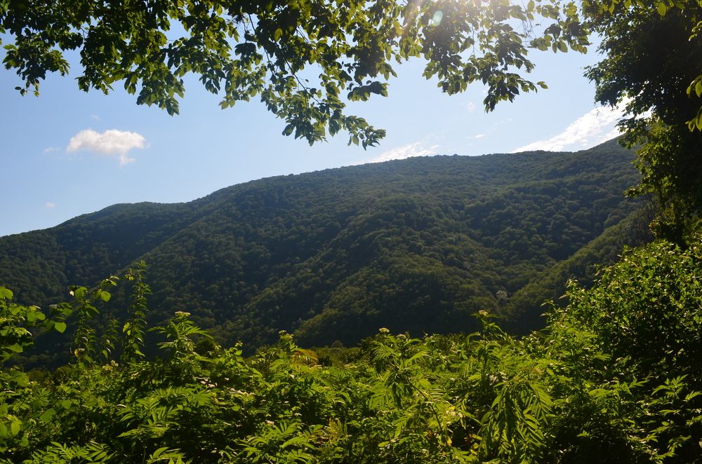 Photograph by Андрей Постников