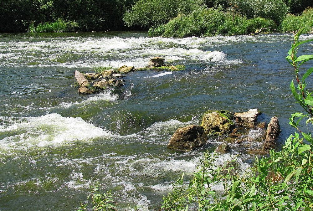 Photograph by Yulia Deimos