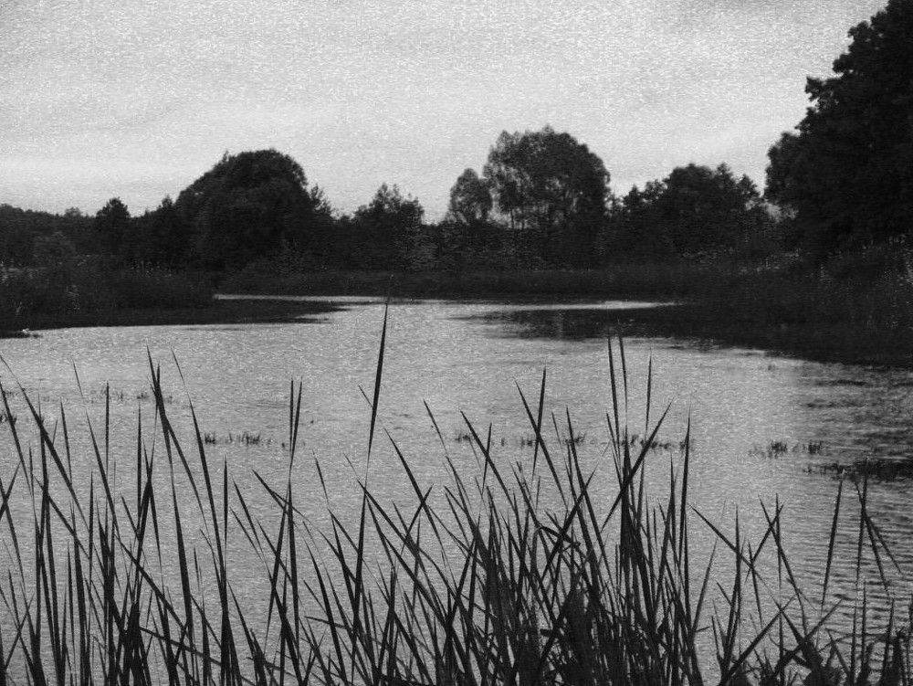 Photograph by Yulia Deimos