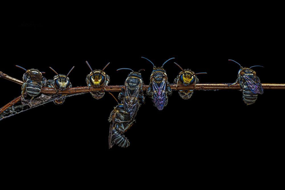 Фотография автора NeCoTi ChonTin