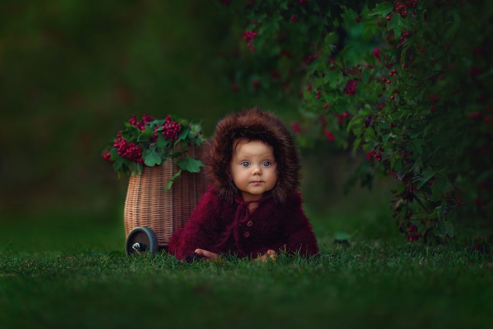 Photograph by Ella Drozynska