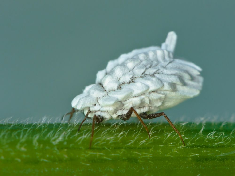 Photograph by Ксения Соварцева