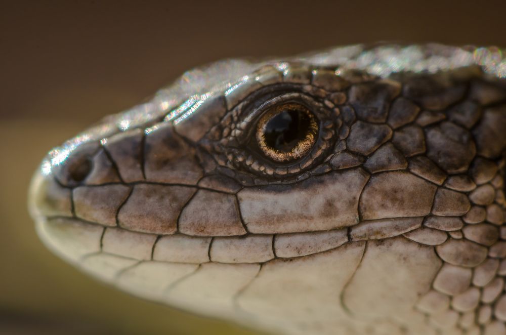 Photograph by Ксения Соварцева