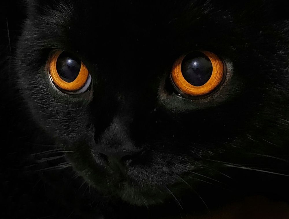 Photograph by Ольга Ларизадех