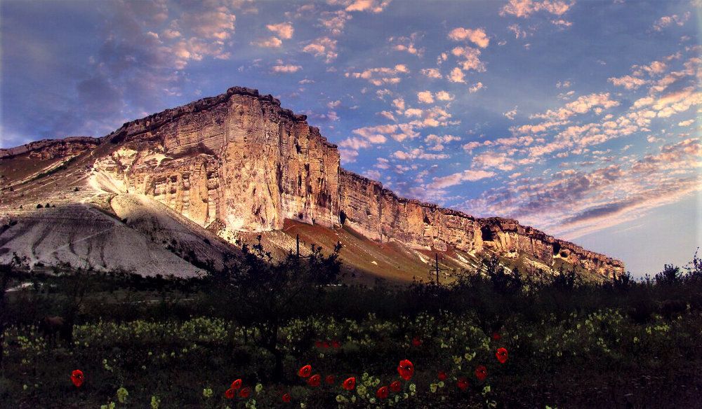 Photograph by Yulia Deimos