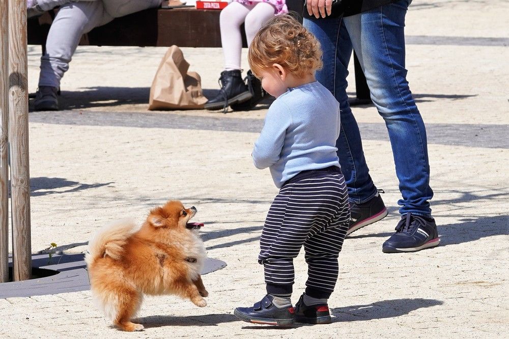 Photograph by Tamir Mor