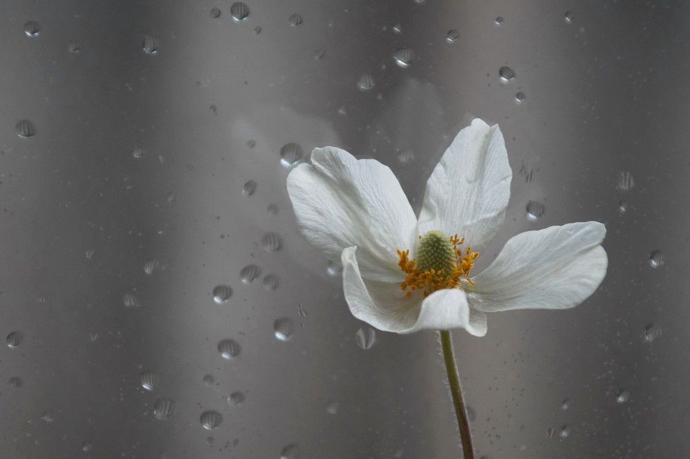 Photograph by Наталья Степаненко