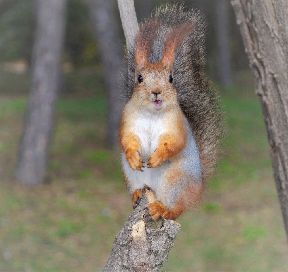 Photograph by Наталья Степаненко